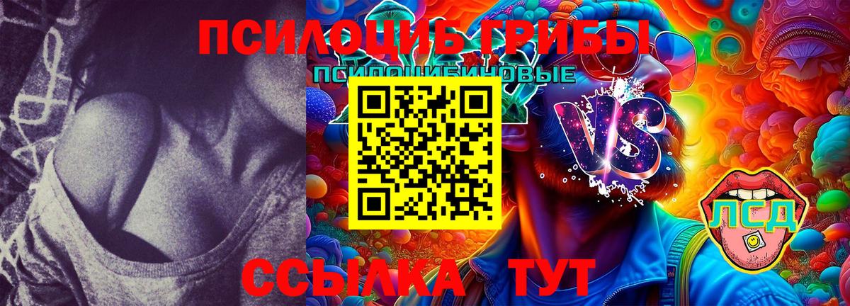 Галлюциногенные грибы Psilocybine cubensis  Вход с VPN  Ишимбай  Галлюциногенные грибы прущие грибы 